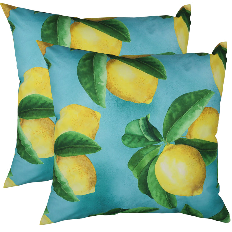 Outdoor Decor Cushions