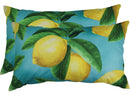 Outdoor Decor Cushions