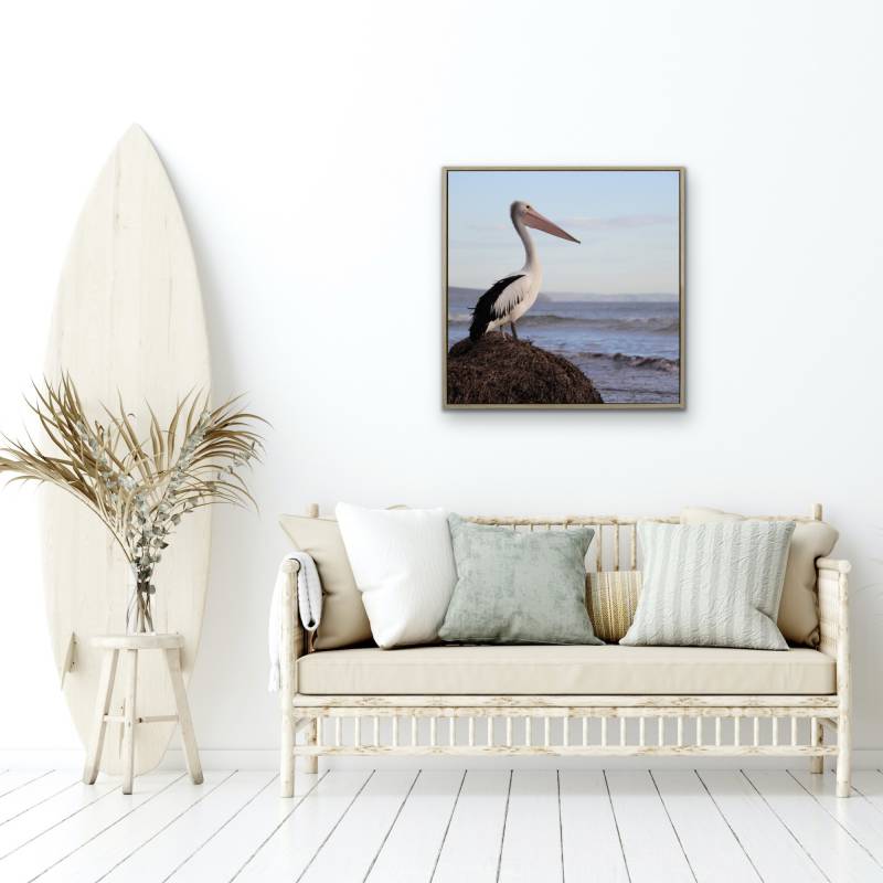 Wall Art - Pelican