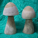 Suarwood Mushroom