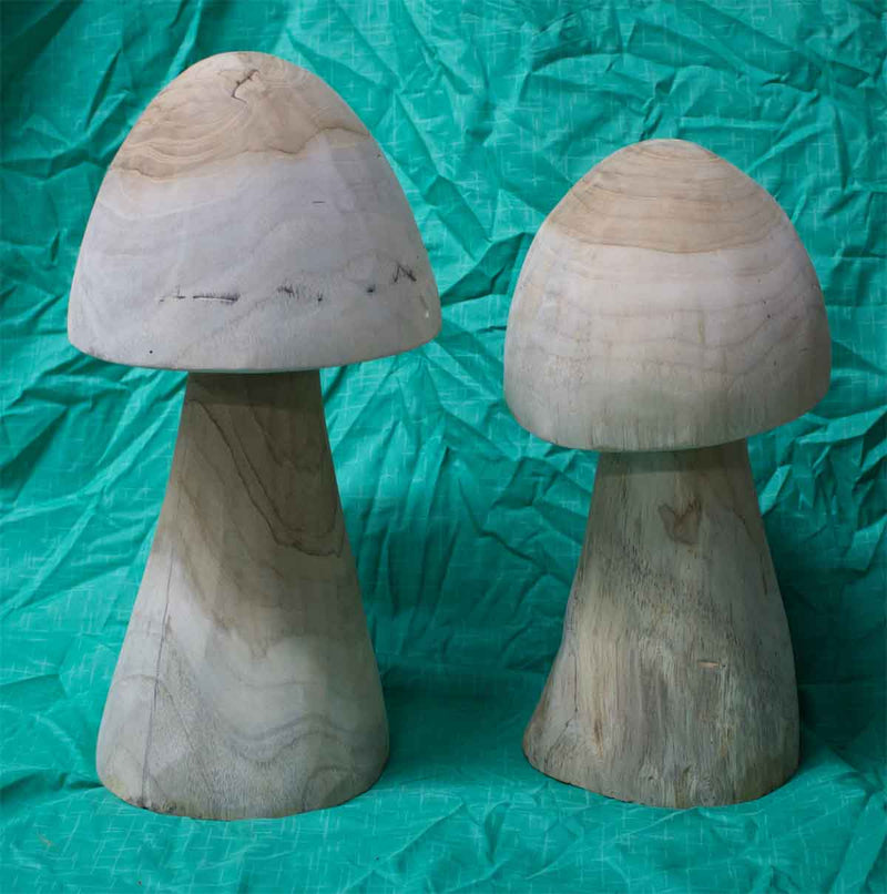Suarwood Mushroom