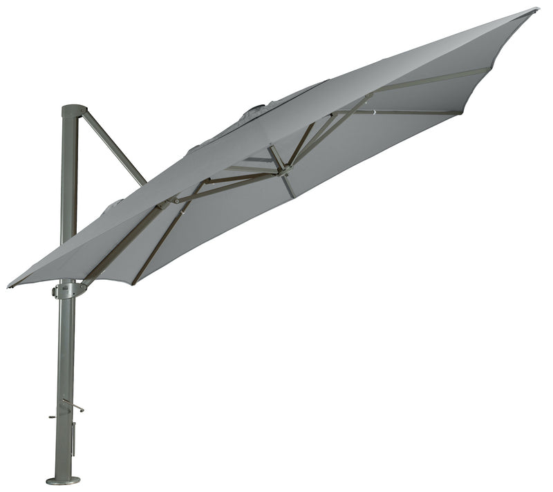 Asta Umbrella