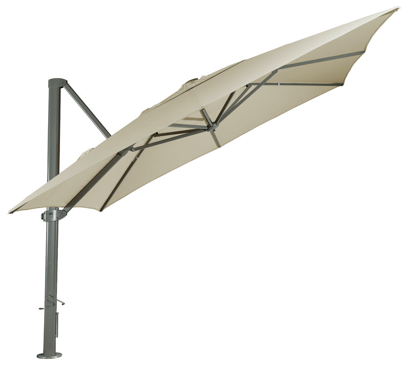 Asta Umbrella