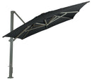 Asta Umbrella