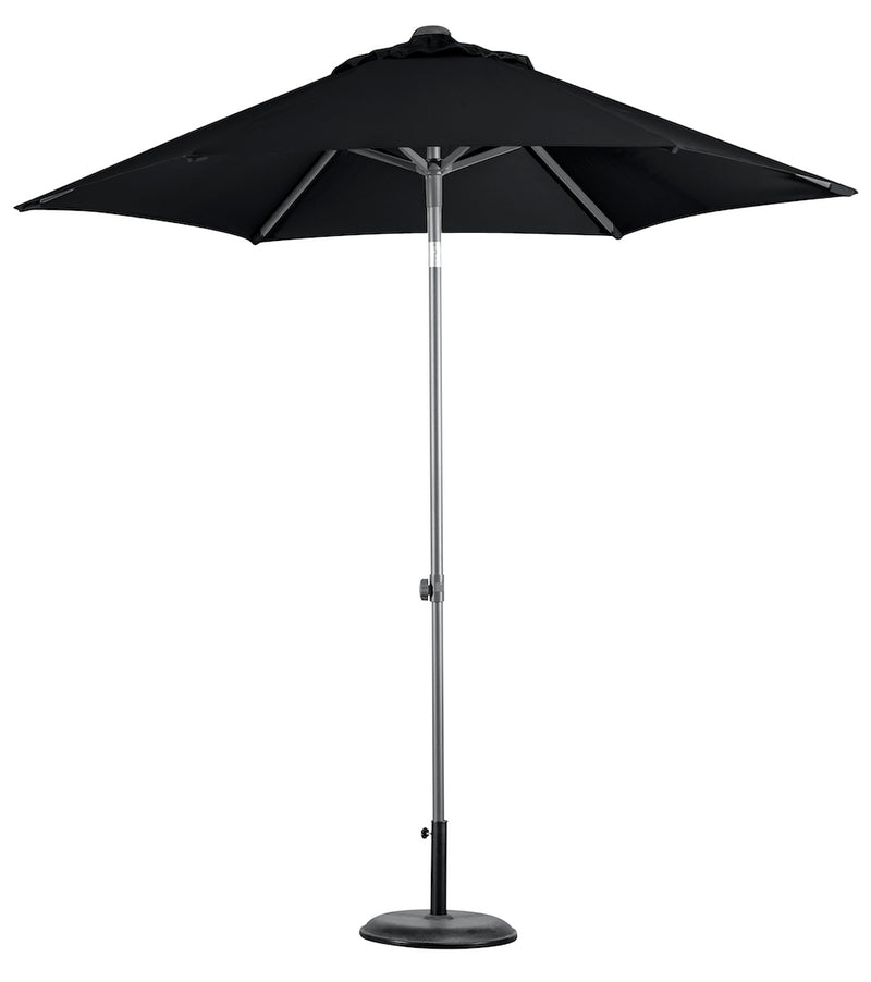 Harbord Umbrella