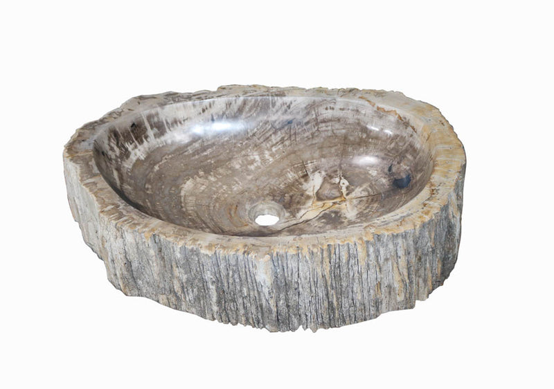 Bird Bath